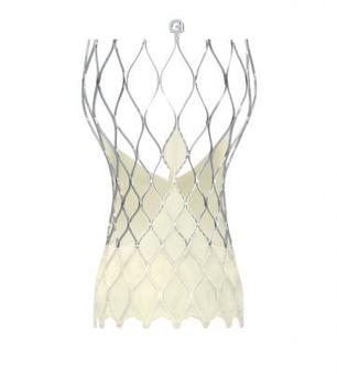 Medtronic Launches Evolut Pro+ TAVR System Medtronic Launches Evolut Pro+ TAVR System