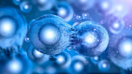 Pluripotency: ‘Butterfly effect’ discovered: Single change at telomeres controls the ability of cells to generate a complete organism Pluripotency: ‘Butterfly effect’ discovered: Single change at telomeres controls the ability of cells to generate a complete organism