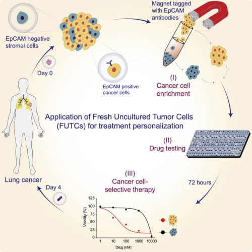 New diagnostic assay holds potential for tailoring personalized cancer treatment