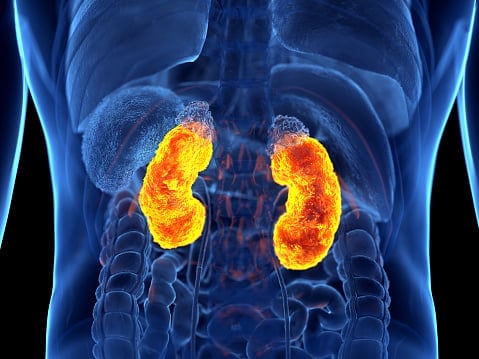 Renalytix nabs FDA nod for AI-powered kidney disease test