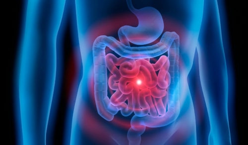 FDA will review vibrating constipation pill from Vibrant Gastro