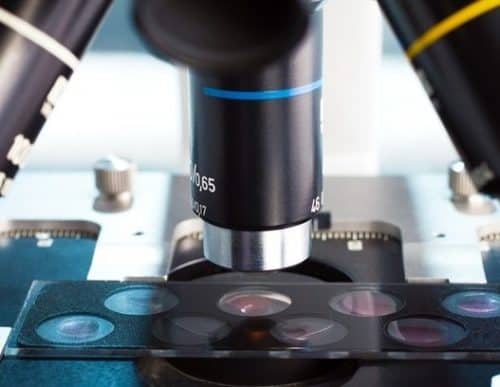 Thermo Fisher Scientific unveils new Krios solution at Microscopy and Microanalysis 2019 Thermo Fisher Scientific unveils new Krios solution at Microscopy and Microanalysis 2019