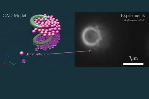 Microscopic Donuts Swim On Their Own to Deliver Therapies Inside Body Microscopic Donuts Swim On Their Own to Deliver Therapies Inside Body