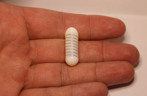 Capsule Delivers Electrical Current to Stomach for Appetite