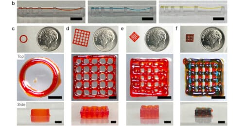 Peptide-Based Inks for 3D Printing May Boost Regenerative Medicine